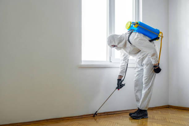 Best Affordable Pest Control Services  in Eldorado, TX